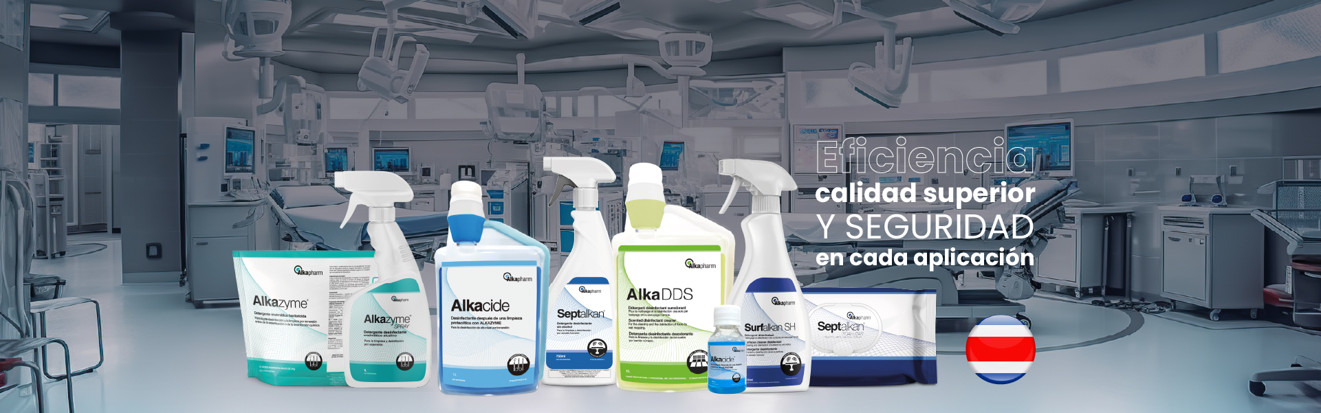 banner costa ricaMesa de trabajo 82