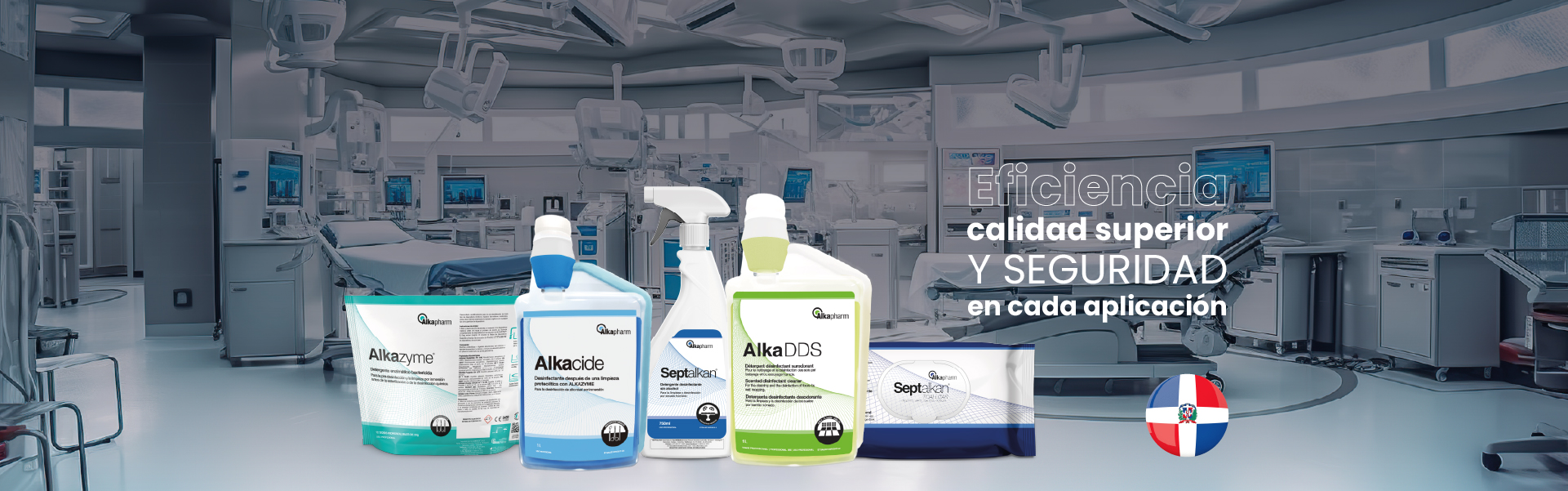 banner rdMesa de trabajo 82 copia